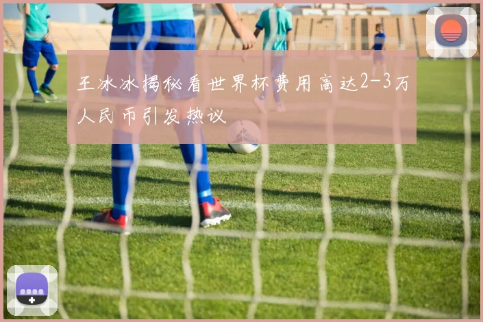 王冰冰揭秘看世界杯费用高达2-3万人民币引发热议